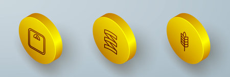 Set Isometric line Bathroom scales Sports nutrition proteine and Wheat icon. Vector.のイラスト素材