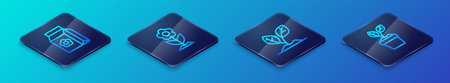 Set Isometric line Sprout Pack full of seeds Plant in pot and Flower icon. Vector.