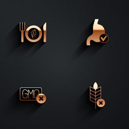 Set Vegan food diet Human stomach health No GMO and Gluten free grain icon with long shadow. Vector.のイラスト素材