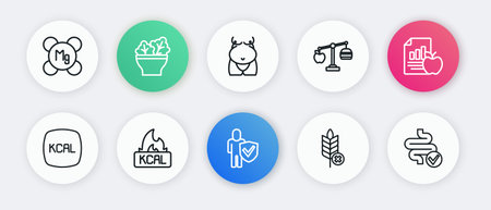 Set line Healthy lifestyle Diet plan Kcal Gluten free grain Calorie calculator Obesity Intestines and icon. Vector.のイラスト素材