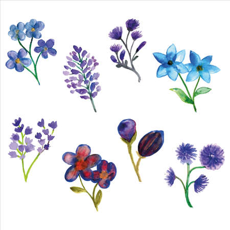Set of purple and blue wild flower watercolor of spring season for greetings card or invitation card decorationsのイラスト素材