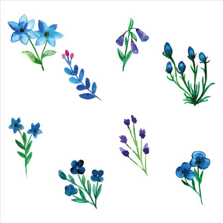 Set of blue wild flower watercolor of spring season for greetings card or invitation card decorationsのイラスト素材