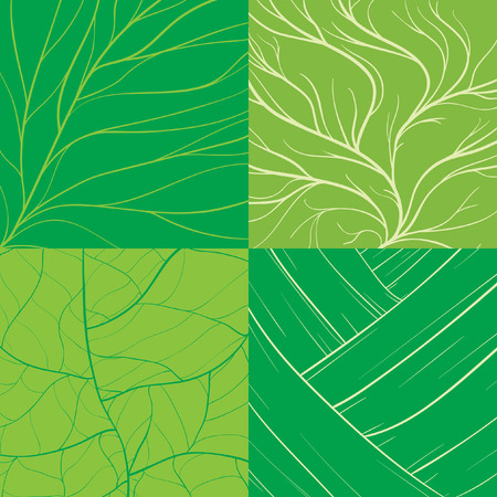 Leaf Lining Illustrationのイラスト素材