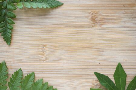 Summer fresh leaves fern frame on wooden board background. Copy space leaves background for text