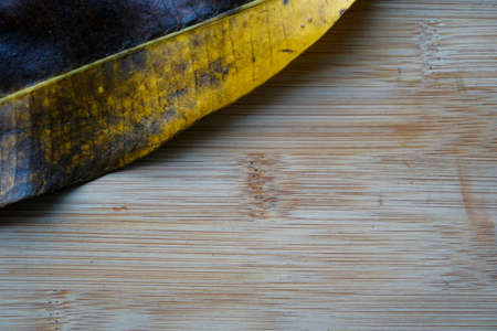 Close up difference color leaves on rustic wooden background. Climate change conceptの写真素材