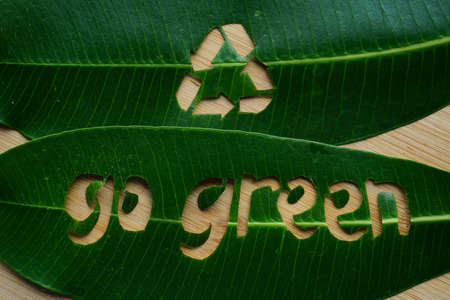 Go Green doodle lettering from fresh green leaf concept on rustic wooden board. Environment for earth day background, copy space for textの写真素材