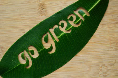 Go Green doodle lettering from fresh green leaf concept on rustic wooden board. Environment for earth day background, copy space for textの写真素材