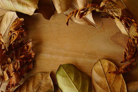 dried leaves on vintage wooden table. autumnal concept background, copy spaceの写真素材