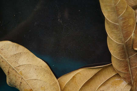 dried leaves on vintage wooden table. autumnal concept background, copy space