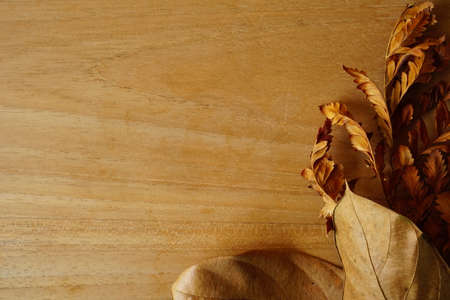 dried leaves on black isolated background. autumnal concept background, copy spaceの写真素材