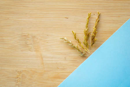 dry wild grass flower on wooden background and stationery blank paper. copy space for greeting quote, advertisingの写真素材