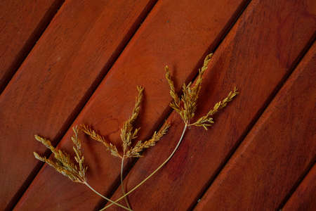 green flower wild grass on wooden background. rustic concept for text advertising copy space