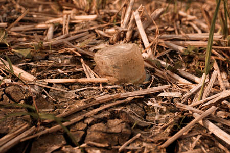 Dry and cracked soil after harvesting. Climate change concept, nature background