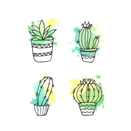 Succulent illustration. Vector cactus hand drawn set with paint splashes. Cacti and in door plants in pots with colorful splatter. Exotic mexican flora design.のイラスト素材