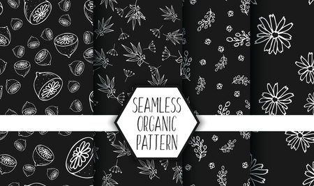 Seamless organic patterns set. Herbs and wild flowers. Herbal tea hand sketched collection. Floral collectionのイラスト素材