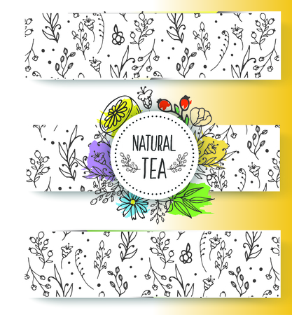 Herbal tea banners collection. Organic herbs and wild flowers. Hand sketched fruits and berries illustration. Flower and leaves branches. Floral vector design.のイラスト素材