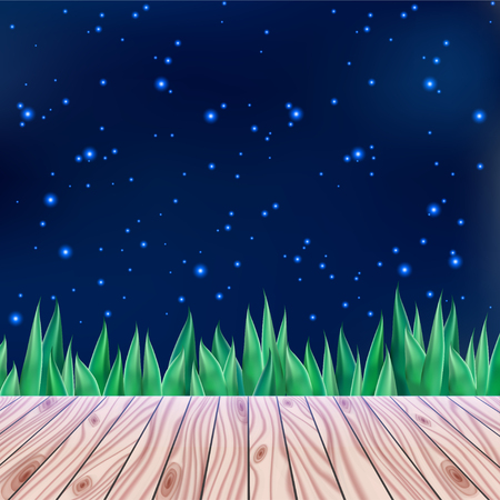 Starry summer sky and wooden bridgeのイラスト素材