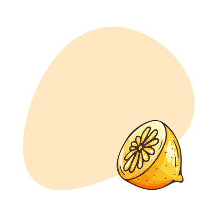 Lemon vector illustration with place for text. Hand drawn sketchのイラスト素材