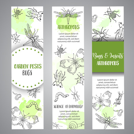 Bugs insects hand drawn banner. Pest control concept. Entomology poster Cartoon illustration of pests and bug. Vector illustration conceptのイラスト素材