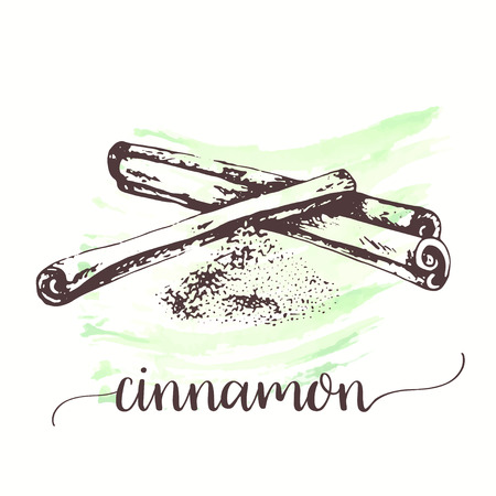Hand drawn sketch style cinnamon stick on watercolor paint. Hand drawn ink illustration of spices. Vector design for tags, cards, packaging, promoのイラスト素材