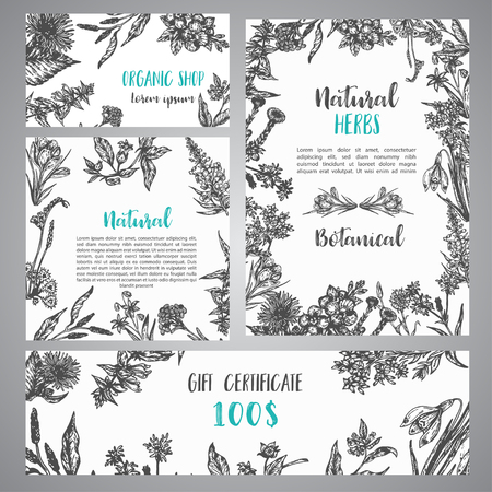 Hand drawn herbs and wild flowers banner Vintage collection of Plants Vector illustrations in sketch styleのイラスト素材