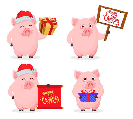 Merry Christmas greeting card with cute cartoon pig, the symbol of New Year 2019, set of four poses. Vector illustration.のイラスト素材