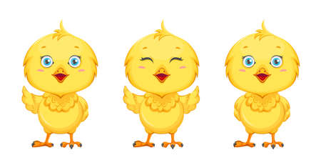 Cute little chick, set of three poses. Funny baby chicken. Stock vector illustration on white...