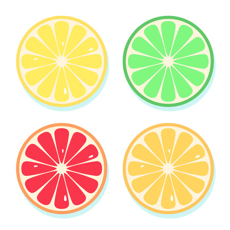 Citrus slices of lemon, orange, lime and grapefruit. Vector illustration. Fresh fruits icons set isolated on white background.のイラスト素材