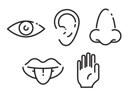 Icon set of the five human sensesのイラスト素材