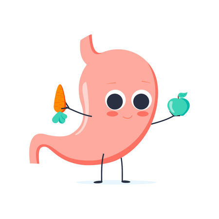 Strong healthy happy stomach character with broccoli and apple. Vector flat cartoon illustration icon design.のイラスト素材