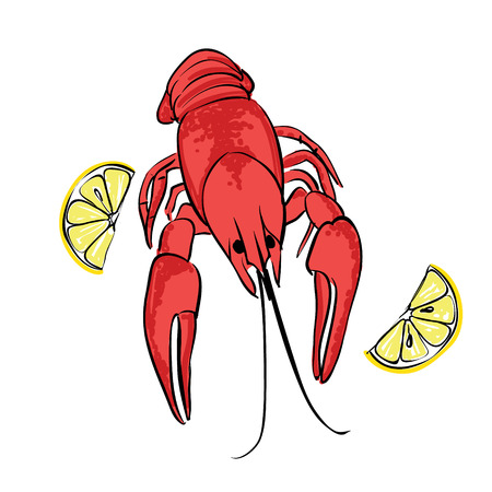 Boiled craw fish with lemon, isolated illustrationのイラスト素材