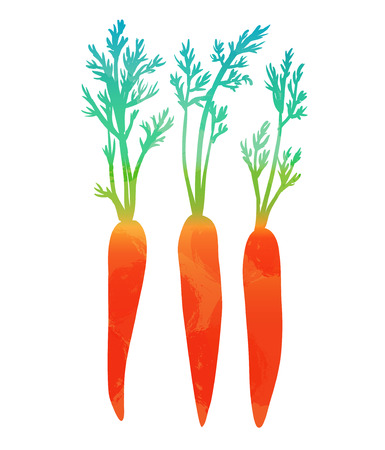 Carrots isolated on white backgroundのイラスト素材