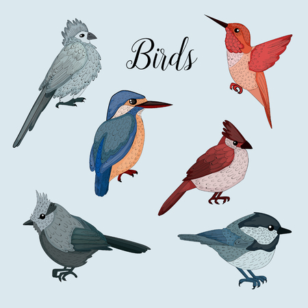 Birds Set in Hand Drawn Style. Vector illustrationのイラスト素材