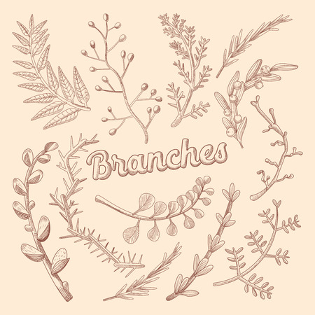 Branches Hand Drawn Floral Doodle. Rustic Plants. Vector illustrationのイラスト素材
