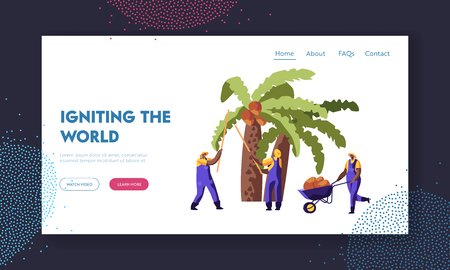 Palm Oil Producing. Workers Collect Coconuts from Palm Tree, Seasonal Work, Laborers Taking Crop on African or Asian Plantation Website Landing Page, Web Page. Cartoon Flat Vector Illustration, Bannerのイラスト素材