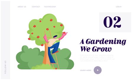Man Farmer Pick Apples to Basket. Male Gardener Character Harvesting Ripe Fruits from Organic Tree in Garden, Healthy Nutrition Website Landing Page, Web Page. Cartoon Flat Vector Illustration, Bannerのイラスト素材