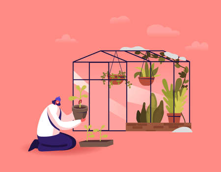 Girl Working in Greenhouse. Young Woman Planting Plants from Pots to Soil in Winter House. Botanist Planting Flowersのイラスト素材
