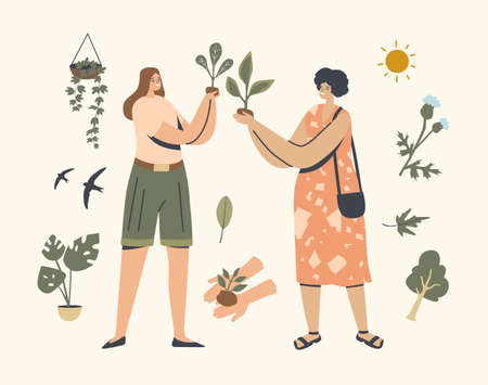 Happy Female Characters Care of Houseplants and Wild Plants. Young d Women Cultivating Green Sprouts and Home Flowersのイラスト素材