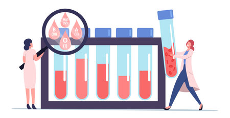 Express Test for Blood Type Expertise Concept. Tiny Male and Female Doctors at Huge Glass Flasks Examining Lifebloodのイラスト素材