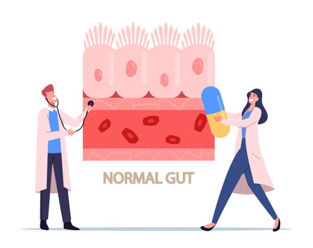 Tiny Doctors Characters with Stethoscope and Pill Presenting Healthy Intestinal Cells and Normal Gastrointestinal Tractのイラスト素材