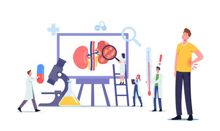 Tiny Doctors Nephrologist Diagnosing and Consult Patient with Kidney Renal Disease, Urine Test, Medical Consultationのイラスト素材