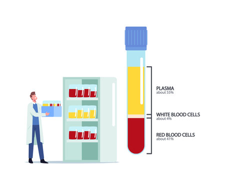 Blood Composition, Medicine, Health Care Concept. Tiny Male Doctor Character Carry Bottles with Samples at Huge Flaskのイラスト素材