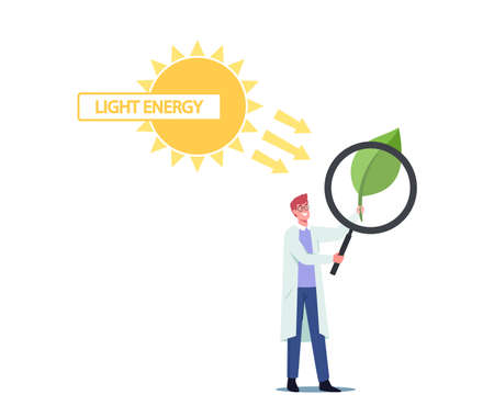 Tiny Scientist Male Character Looking on Green Leaf through Huge Magnifying Glass. Sun Shining on Plant. Photosynthesisのイラスト素材
