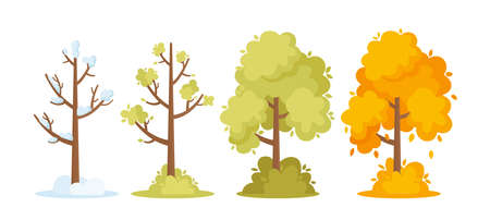 Winter, Spring, Summer and Autumn Seasons Concept. Trees with Snow on Branches, Green and Orange Colored Foliageのイラスト素材