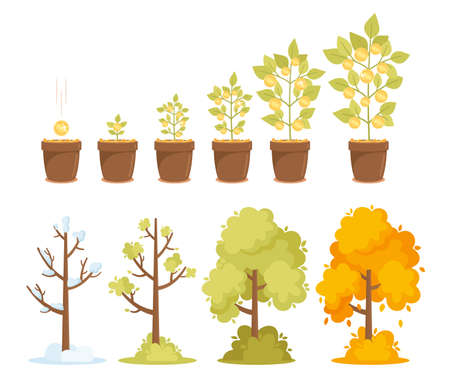Money Tree Growth, Capital Gain and Seasonal Trees. Time Line from Small Sprout to Big Plant with Golden Coins on Branchのイラスト素材