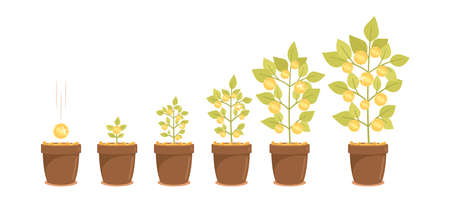 Money Tree Growth, Capital Gain, Investment Pension Wealth Business Concept. Time Line from Seed Coin, Seedling to Plantのイラスト素材