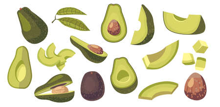 Set of Avocado Vegetarian Food Ingredient Design Elements. Fresh Fruit or Vegetable Whole, Diced or...