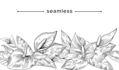 Seamless Pattern with Anthurium Flower, Doodle Composition with Palm and Jungle Leaves, Hand Drawn Tropical Borderのイラスト素材