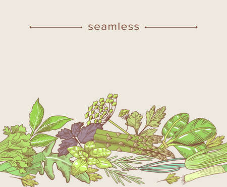 Doodle Seamless Pattern with Garden Herbs, Spices and Greenery. Hand Drawn Frame of Spinach, Asparagus, Dillのイラスト素材