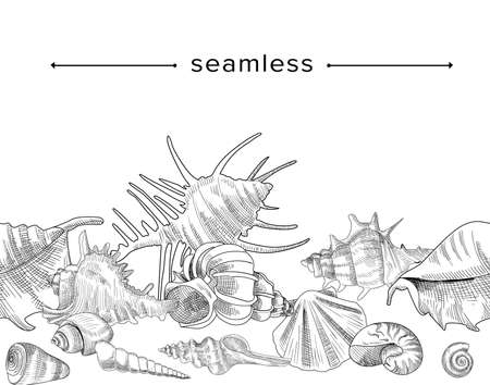 Sketch Seamless Pattern with Sea Shells, Mollusk Conch on White Background. Engraved Design of Seashells Marine Clamのイラスト素材